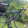 Carrera Ladies Road Bike Image 2