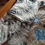 boys clothes 11 yrs Image 3