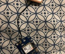 GPS Module