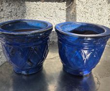 Plant pots
