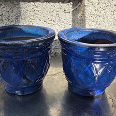 Plant pots
