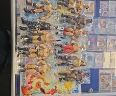 wrestler bundle