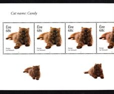 2014 Ireland Cats Commemorative Stamp Booklet Pane featuring Persian Cat (Felis silvestris catus) cat name Candy Mint Never Hinged (MNH). Hibernian HP230