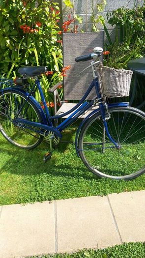 Vintage   Raleigh Lady's High Nelly Bicycle