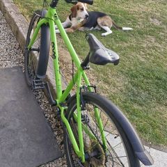 FROG 73 bike
