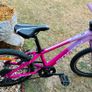 Bike Image 2