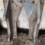 Prodig shear bucket Image 7