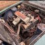 triumph stag Image 6