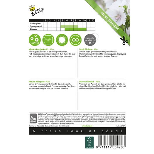 Buzzy Musk Mallow Alba Seeds 0.5g | Sow in July - August