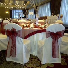 Sashes/bands - multiple colours