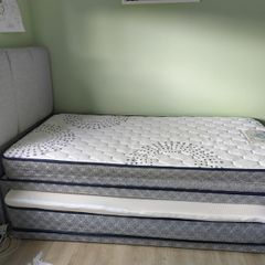 single trundle bed with pull out bed