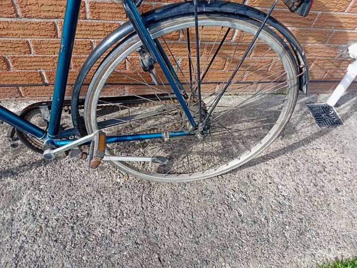 adults  bike