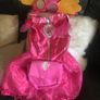costume  skye paw patrol Image 2