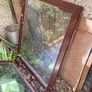 Hardwood windows (used) Image 3