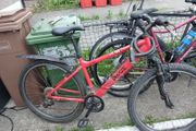 mountain bike