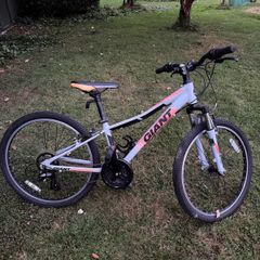 Kids Giant Mountain Bike
