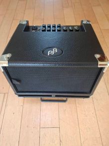 Phil Jones Bass Cub BG 100 2x5 Combo - Pristine