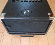 Phil Jones Bass Cub BG 100 2x5 Combo - Pristine