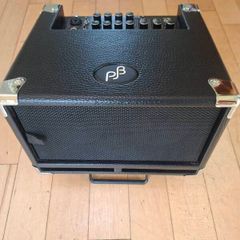 Phil Jones Bass Cub BG 100 2x5 Combo - Pristine