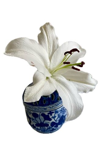 Chinese Blue and White Vase