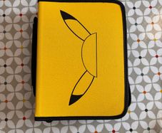Pokemon folder and cards