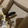 silver tea strainer in a gift box Image 5