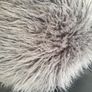 cushion Image 5