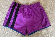 Vintage Human Race Sports Wear Purple Shorts (Size L)