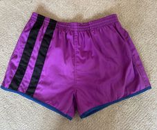 Vintage Human Race Sports Wear Purple Shorts (Size L)