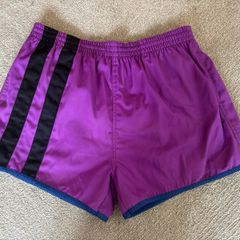 Vintage Human Race Sports Wear Purple Shorts (Size L)