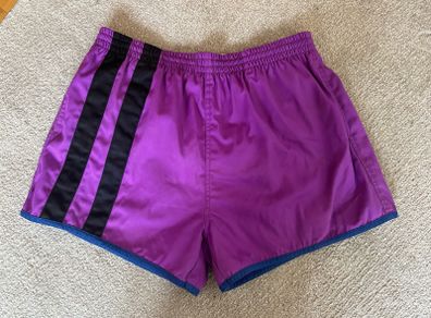Vintage Human Race Sports Wear Purple Shorts (Size L)