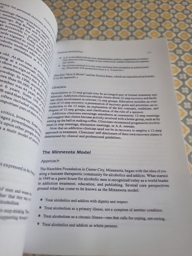 Addiction Treatment: Theory and Practice (Paperback)