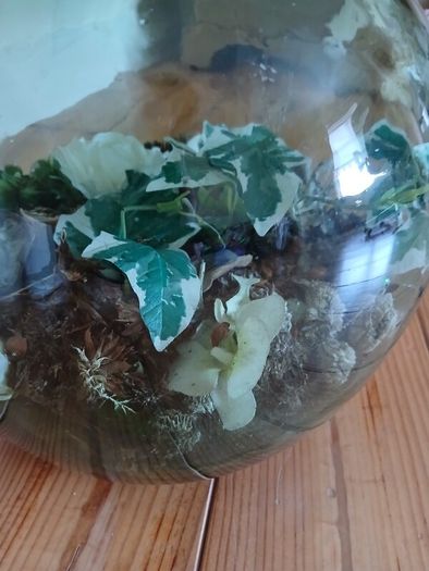 Vintage Viresa Terrarium from 1960s or 1970s.  Green Verdi Glass.