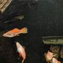 fish Image 6