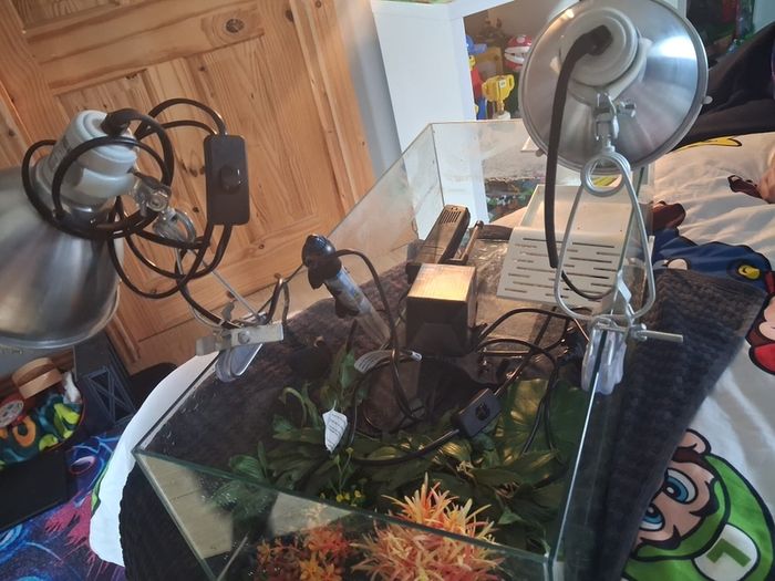turtle tank