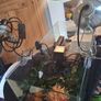 turtle tank Image 2