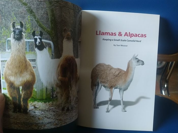 Llamas and Alpacas book