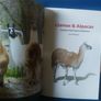Llamas and Alpacas book Image 4
