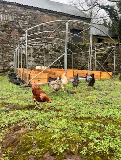 Chicken Coop with 50L auto watering and feeding