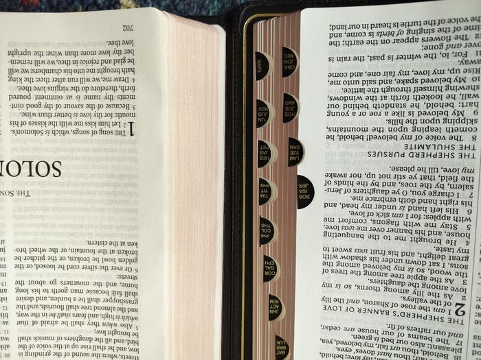 Holy Bible Premier Collection Thinline Goatskin KJV king James 165GBP 199EUR  9780785257783 thumb index  on3ne3ss
