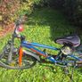 cycle Image 3