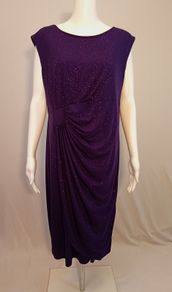 Enfocus Women shiny purple dress