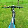 Giant Electric Bike Image 4