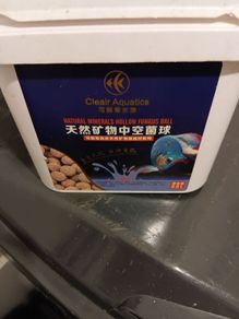 fish tank Media