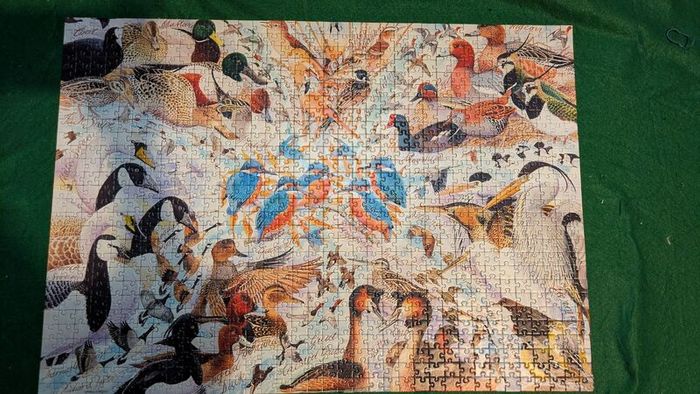 1000 jigsaw puzzle