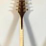 Andy Tobin Bouzouki Image 7