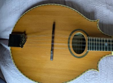 A Joe Foley Mandolin