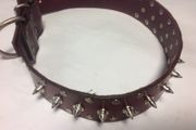 Handmade leather dog collar