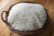 Wicket Pet Bed
