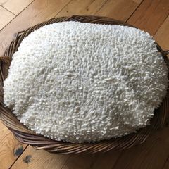 Wicket Pet Bed